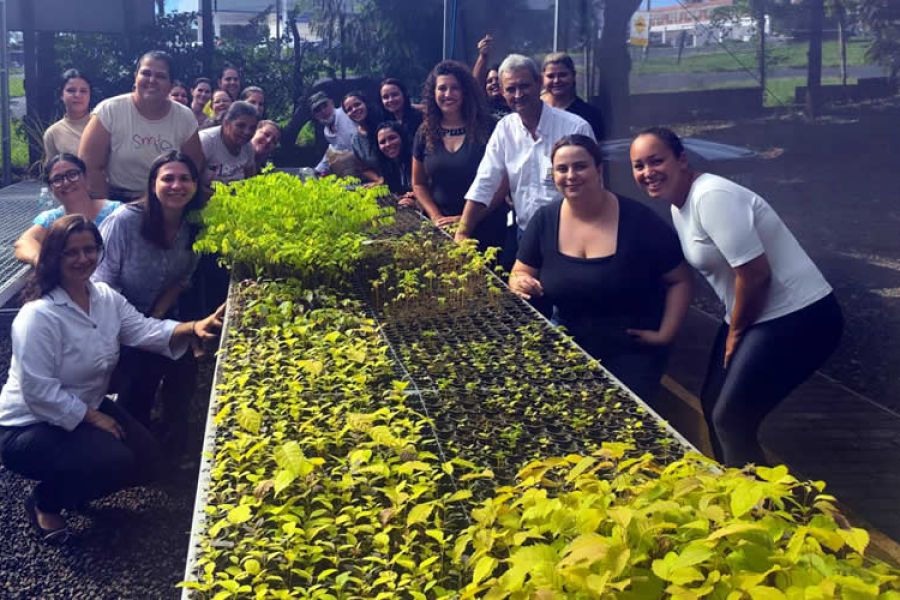 SEMEB e Meio Ambiente promovem Educação Ambiental para professores da rede municipal